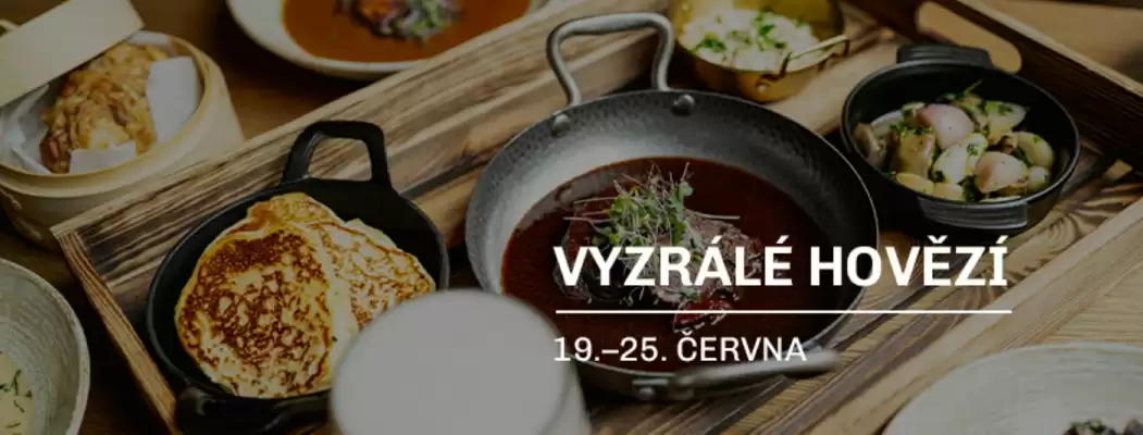 Hybernská leták (platné do 25-06)
