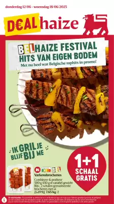 Proxy Delhaize folder (geldig t/m 18-06)