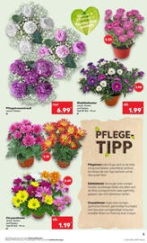 Kaufland Prospekt woche 24 Seite 5