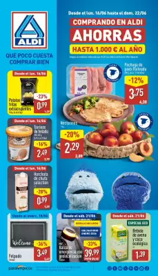 Folleto ALDI (válido hasta el 22-06)