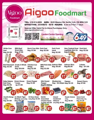 flyer-cover