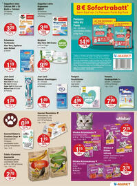 V Markt Prospekt woche 25 Seite 11