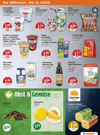 V Markt Prospekt woche 25 Seite 19