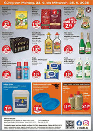 V Markt Prospekt woche 25 Seite 20