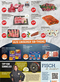 V Markt Prospekt woche 25 Seite 3