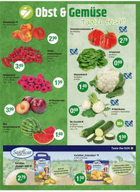 V Markt Prospekt woche 25 Seite 4