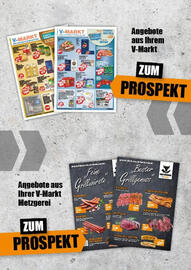 V Baumarkt Prospekt woche 25 Seite 9