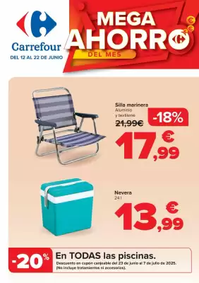 Folleto Carrefour (válido hasta el 22-06)