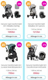 Catalog Nichiduta Pagină 1