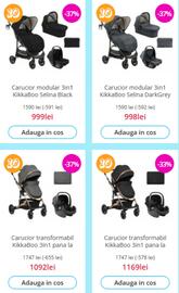 Catalog Nichiduta Pagină 2