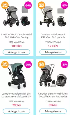Catalog Nichiduta (valid până la 29-06)