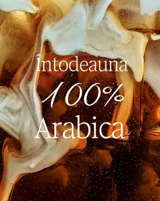 Catalog Starbucks (valid până la 25-06)