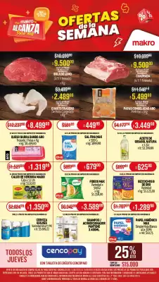 Catálogo Makro (válido hasta 18-06)