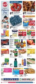 Big Y Weekly Ad week 24 Page 1