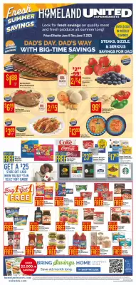 Homeland Market Weekly Ad (valid until 17-06)