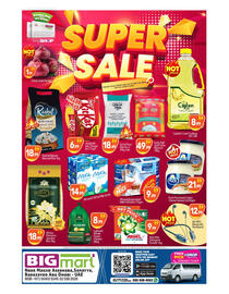 Bigmart catalogue Page 1