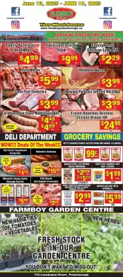 Farmboy Peterborough flyer (valid until 18-06)
