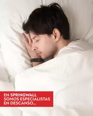 Catálogo Springwall (válido hasta 30-06)