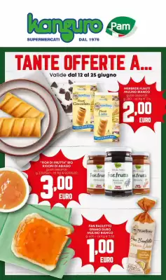 Volantino Kanguro