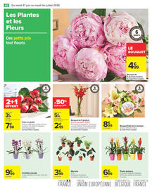 Catalogue Carrefour page 42