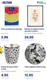 Action gazetka tydzień 24 Strona 5