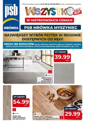 Mrówka gazetka (ważność do 26-06)