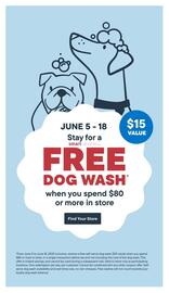Paulmac's Pets flyer week 24 Page 4