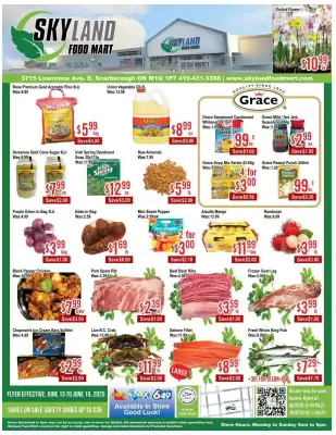 Skyland Foodmart flyer (valid until 20-06)