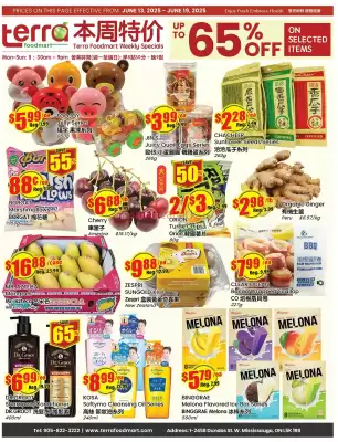 Terra Foodmart flyer (valid until 19-06)