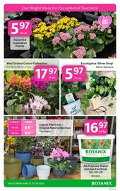 Botanix flyer week 24 Page 6
