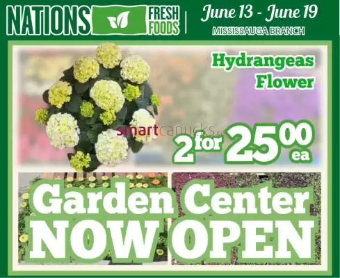 Nations Fresh Foods flyer (valid until 19-06)