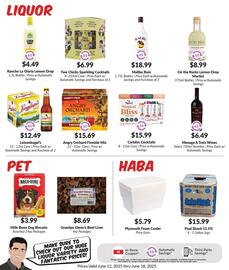 Woodman's Weekly Ad week 24 Page 7