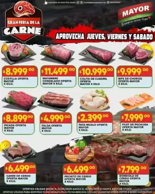 Catálogo Supermercados Mayor (válido hasta 14-06)