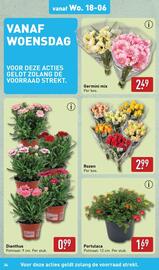 ALDI folder week 25 Pagina 34