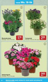 ALDI folder week 25 Pagina 35