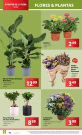 Folheto Lidl semana 25 Página 20