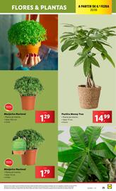 Folheto Lidl semana 25 Página 21