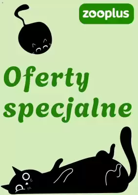 flyer-cover