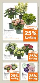 Albert Heijn folder week 25 Pagina 34