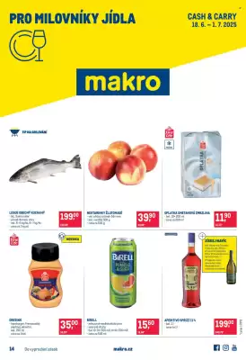 Makro leták (platné do 1-07)