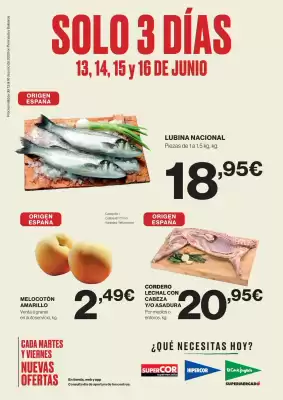 Folleto Supercor (válido hasta el 16-06)