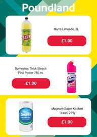 Poundland leaflet Page 3