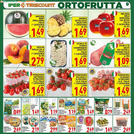 Volantino Iper Triscount Pagina 9