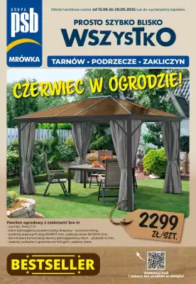Mrówka gazetka (ważność do 28-06)