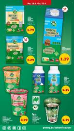 PENNY Prospekt woche 25 Seite 13