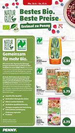 PENNY Prospekt woche 25 Seite 14