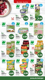 PENNY Prospekt woche 25 Seite 15