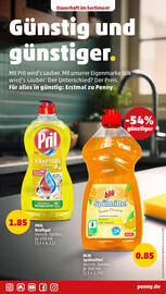 PENNY Prospekt woche 25 Seite 23