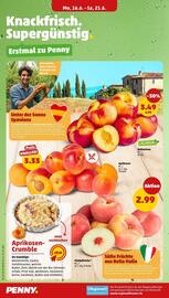 PENNY Prospekt woche 25 Seite 4