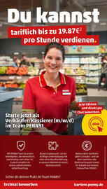 PENNY Prospekt woche 25 Seite 43